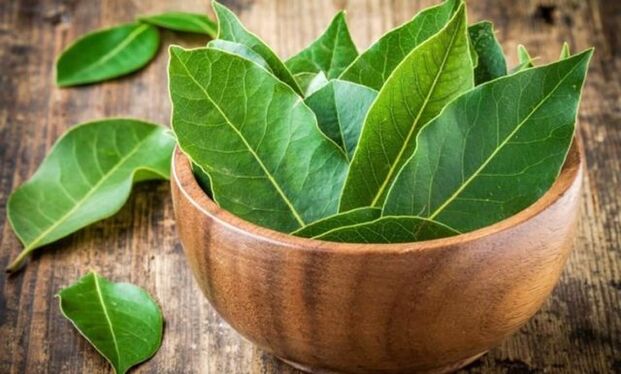 Bay leaves for preparing a decoction that relieves swelling in the knee with arthrosis